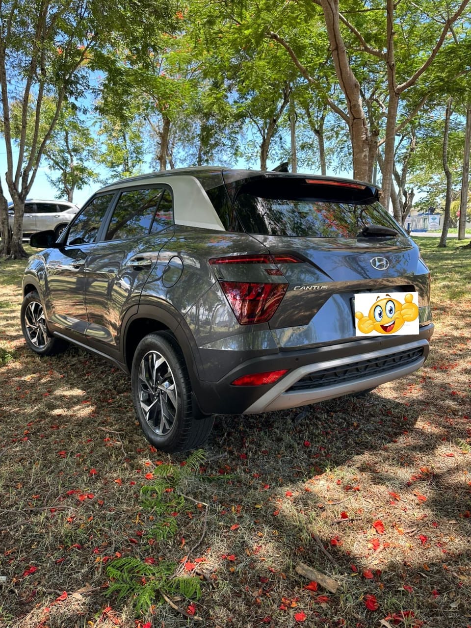 Hyundai  Cantus vista 2