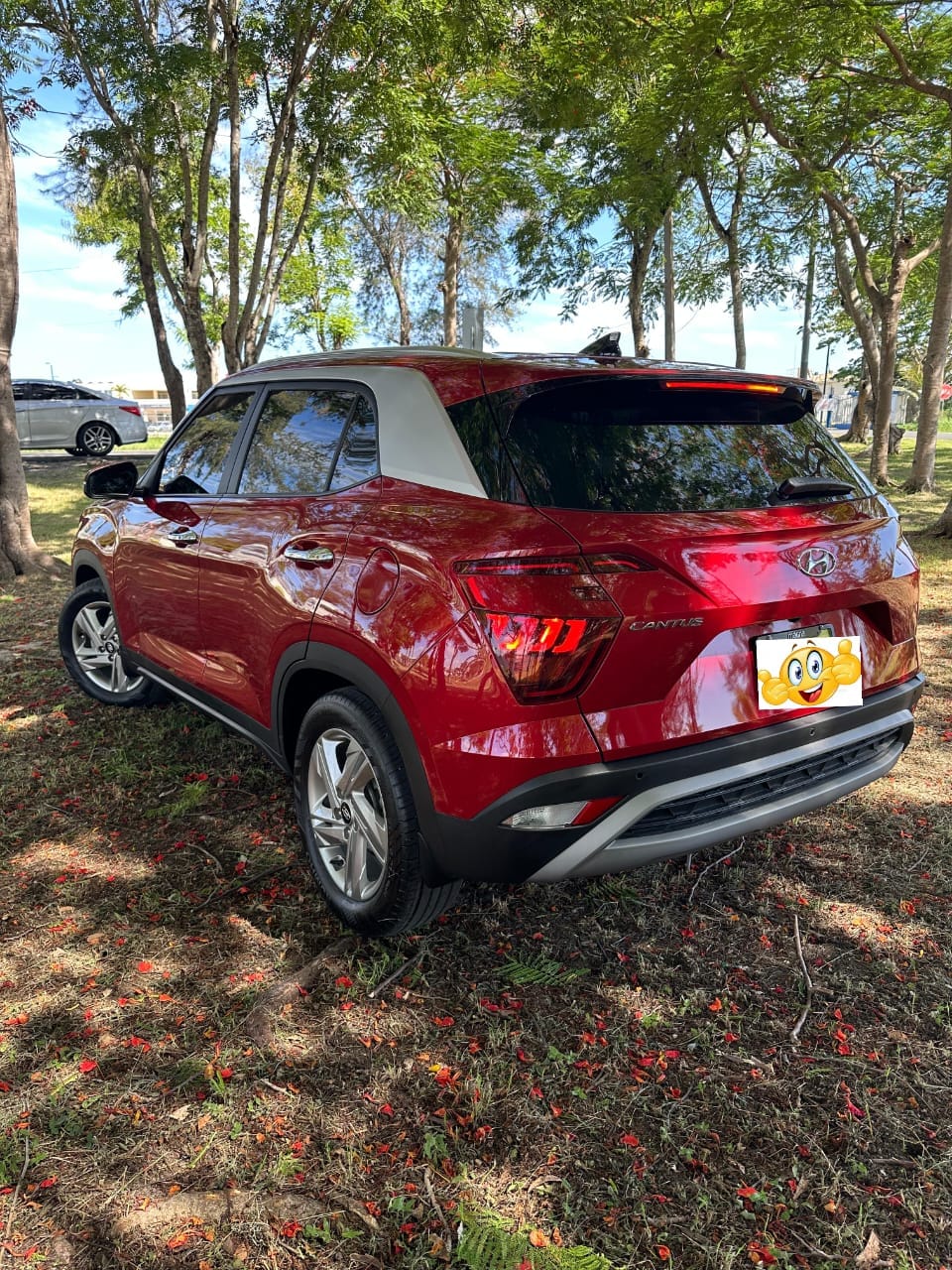 Hyundai  Cantus vista 2
