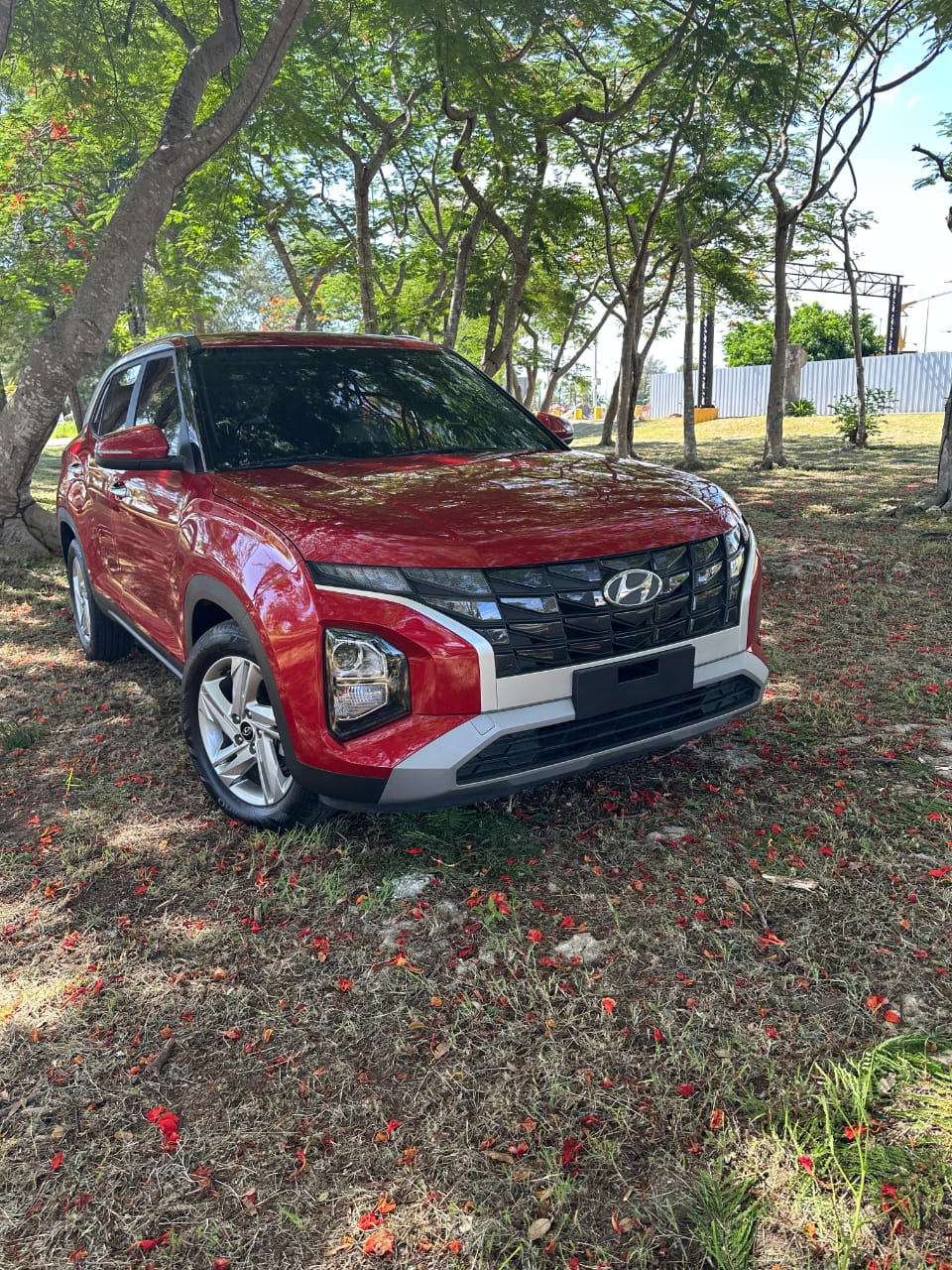 Hyundai  Cantus